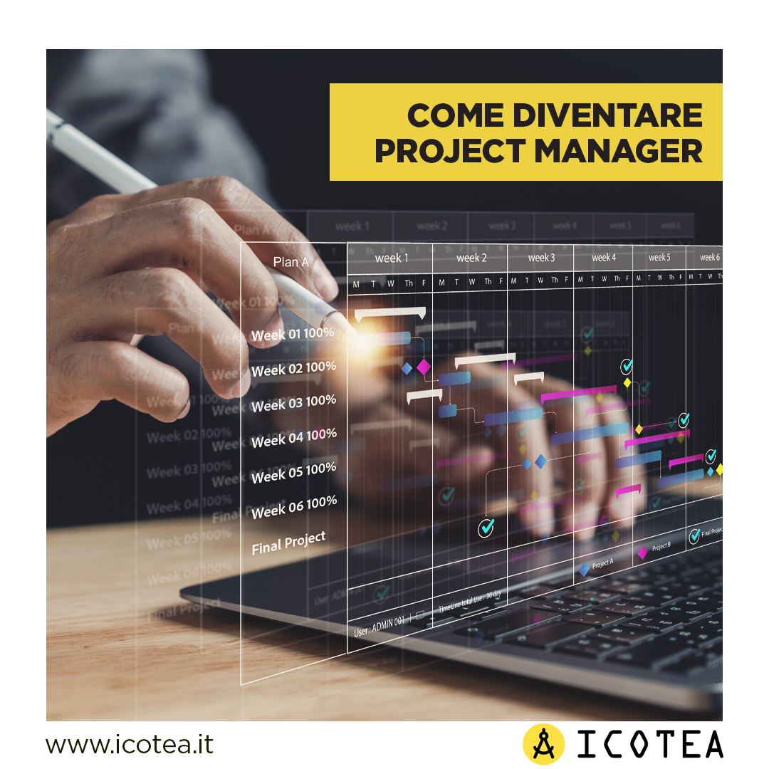 project manager